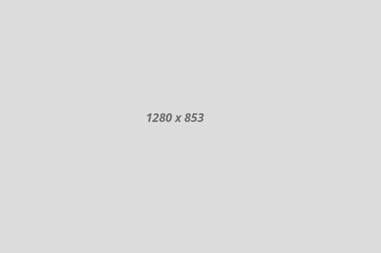 portfolio portfolio